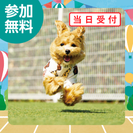 画像：9月16日(月祝)ワンちゃん運動会